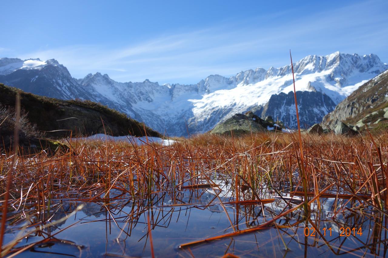 Gasthaus Goescheneralp เกอเชเน็น ภายนอก รูปภาพ